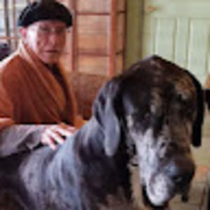 Meet your Posher, Clive a